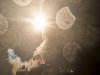 CENTCOM says US launches “new” strikes on Iranian military targets
