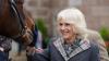 Queen Camilla turns 79: See her royal life in photos      