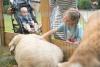 Horse Trading Days marches on, not fazed by weather