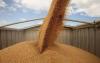 Kazakhstan introduces six-month ban on wheat imports