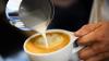 Daily Grind: Where to go for a coffee (or tea) ... and space to enjoy