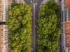 Lisbon’s Avenida da Liberdade to undergo major resurfacing