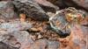 Trilogy's Ambler Metals says permitting schedule for Arctic project under FAST-41 provides ...