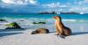 An enchanting journey to the heart of Ecuador, following in Darwin's footsteps