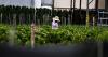 The dire lengths Florida farmworkers go to keep working in 'scorching' heat
