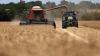 France's wheat production drops after scorching weather pushes early harvest