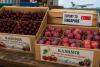 Singaporean Envoy To India Simon Wong Welcomes J&K Cherries, Plums