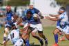Three-horse race as second round begins 