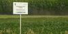 Scientists share latest agriculture research with Central Illinois farmers