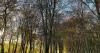 Art, barbeques, litter and more in Micheldever, South Wonston and Sutton Scotney
