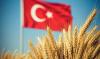 Turkey’s grain market is on hold as it awaits a record harvest and a resolution to the shipping issue