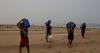 Latin American governments prepare for El Nino as drought, floods and heat loom