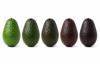 Global fruit ripening system market set to surge to $3.4 billion by 2034
