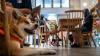 Hong Kong welcomes dogs in city restaurants