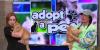 Adopt a Pet: Meet Honey and Griffin!