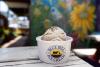 What happened to black walnut ice cream? Here’s where to taste the nostalgia in Hampton Roads.