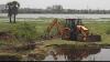 Citizens, NGOs join hands to clear seemai karuvelam at Korattur lake