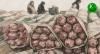 Rosselkhoznadzor found flowers from Armenia in Iranian supplies.