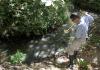 Phoenix Leads the Nation in West Nile Virus Deaths as 2026 Season Becomes Worst in Over Two Decades