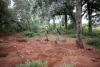 Two South African soldiers die chasing illegal miners