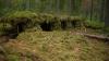 Drones to reshape Nato's Eastern flank as UK's armoured battlegroup is replaced in Estonia