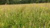 NI farmers urged to apply for Farming with Nature scheme before deadline