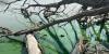 Toxic blue-green algae prompts health alerts at three Nebraska recreation areas