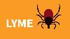 Why France Is Leading on Tick-Borne Diseases