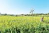 European Union approves K283 billion package for Malawi