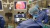 Nearly 400 medical professionals exit KZN public health sector