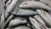 Armenian fish products can be exported to the EU.  Head of the Armenian Fish and Seafood Association