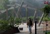 Wildfire smoke could leave northern Illinois by Friday afternoon as pollutant levels drop