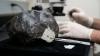 A 4.5-billion-year-old meteorite crashed into a New Jersey home, and scientists found clues about the origins of life