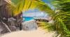British Virgin Islands emerges as a top crypto hub for exchanges
