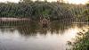 This tiny spider builds webs across rivers with silk more than 10 times tougher than Kevlar