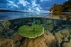 Melanesian nations announce intention to create massive ocean reserve corridor