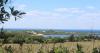 Block Island Residents Association and Block Island Health Center to host public forum, Ticks on Block Island: A Public Health Crisis