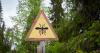 Travelers Beware: Mosquito Season in Alaska Will Be Extreme This Summer