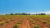 Canadian farms must keep growing to survive—and farmers and the environment are paying for it