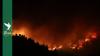 Deadly orphanage blaze comes as Algeria wildfire season worsens