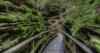 Witches Gulch Sounds Scary, but It’s One of the Best Hikes in Wisconsin