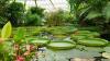 You must visit these botanical gardens in Singapore