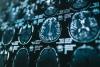 Scientists Discover Hidden Brain Structure That Could Help Fight Alzheimer’s