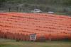 Drifting anti-immigrant buoys in Rio Grande temporarily close two bridges with Mexico