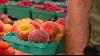 Health officials monitor cyclosporiasis as cases rise in nation: What to know Cyclosporiasis cases are on the rise in several states, including in North Caroina. Between May 1 and July 14, North Carolina reported 307 cases.