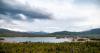 As reservoirs dry up, state takes steps towards saving Colorado River water