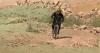 Colorado Springs opens 7 miles of new trails at Blodgett Open Space after more than a year of construction