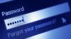 Dutch firms used password manager with hidden Russian roots