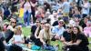 Headliner pulls out of Wirral festival hours before the event