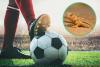 Minnesota Lizard Makes Bold 2026 World Cup Prediction